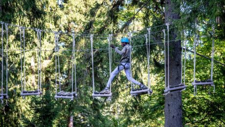 Azubis Ausflug Kletterpark Sonthofen